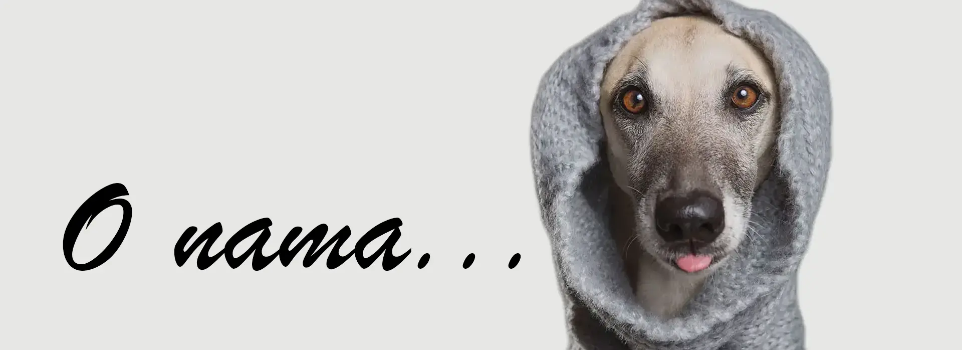 o nama-odeca za pse